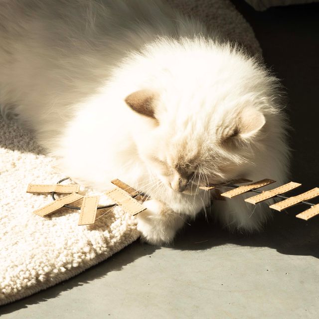 COOPER - Speelhengel met treinslangetje (B2B)