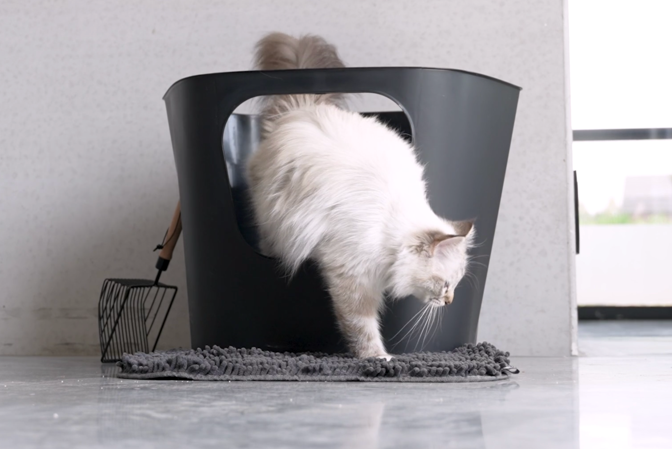 DEAN Open kattenbak (B2B)