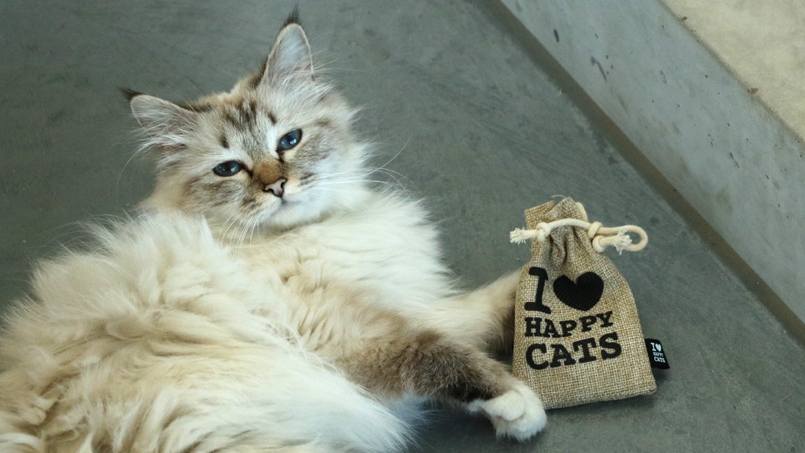 HAPPY CATS KRUIDENBUIDEL (B2B)