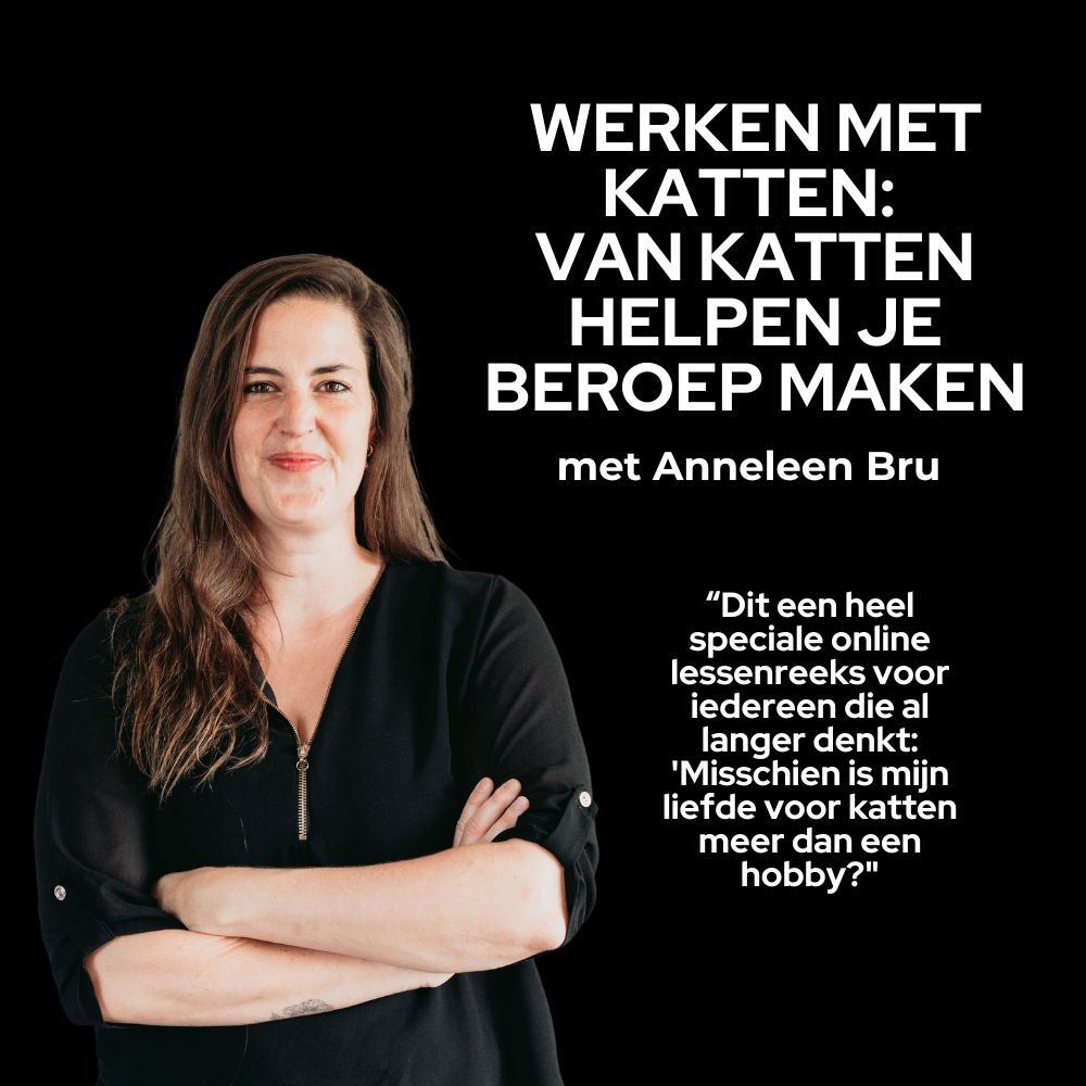 *NIEUW* Online training 'Werken met katten: Van katten je beroep maken'
