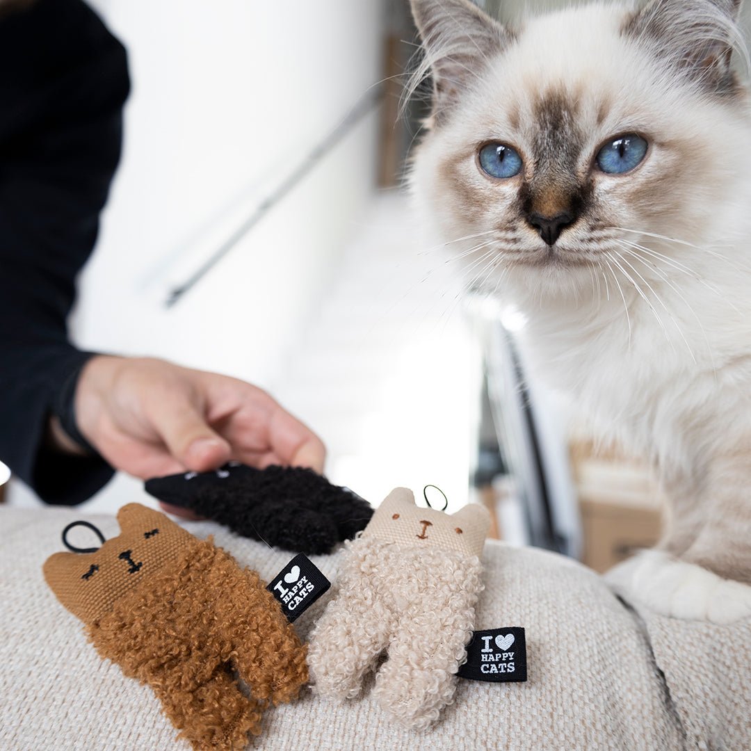 ALFIE Jouets pour chat
