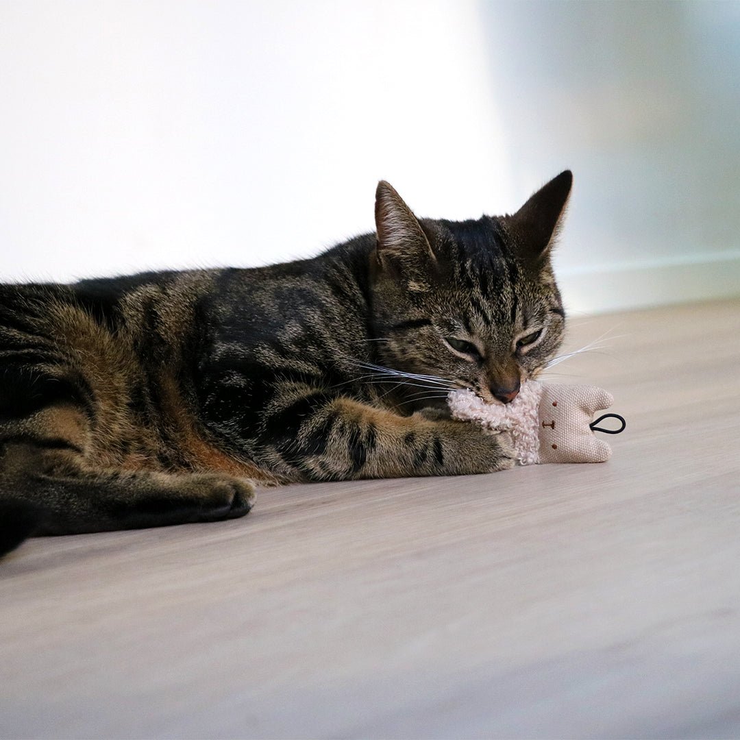 ALFIE Jouets pour chat