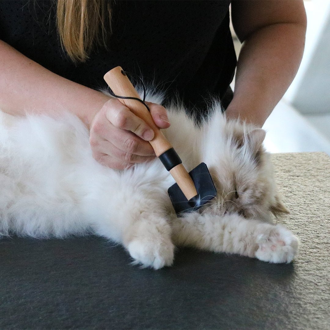 ARTHUR - Brosse slicker