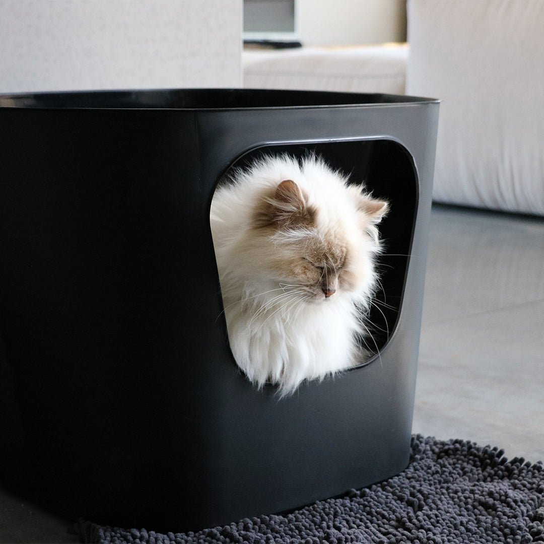DAISY - Tapis de litière