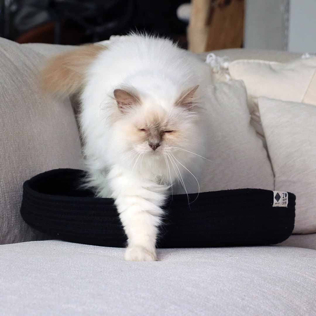 Jess panier pour chat
