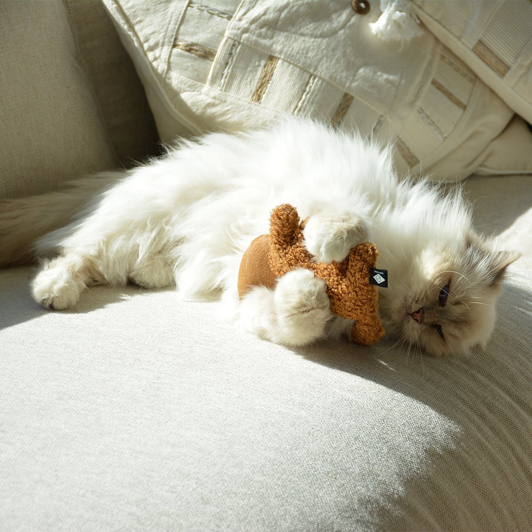 Mélange d'herbes I Love Happy Cats