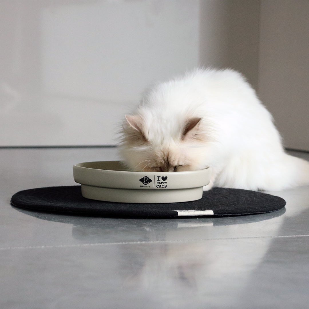 SUE - Gamelle anti-glouton