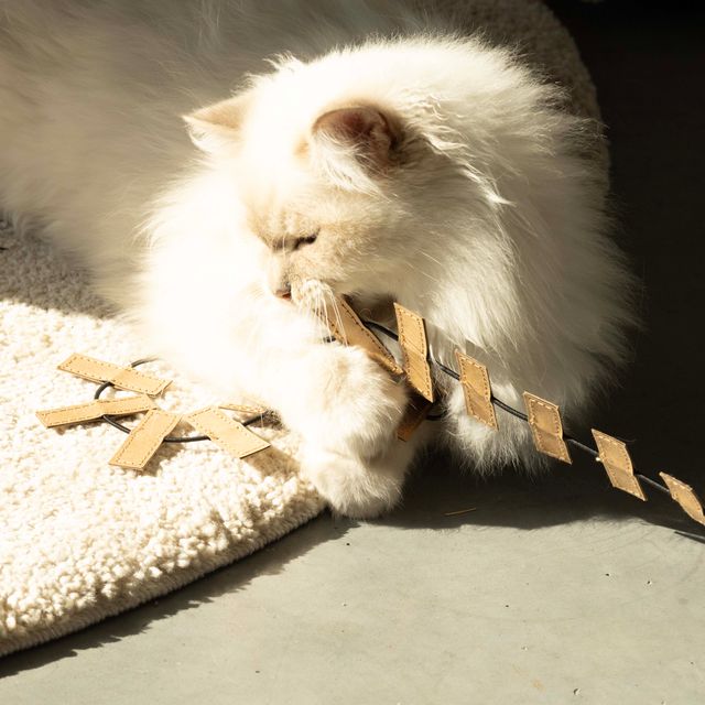 COOPER - Speelhengel met treinslangetje (B2B)