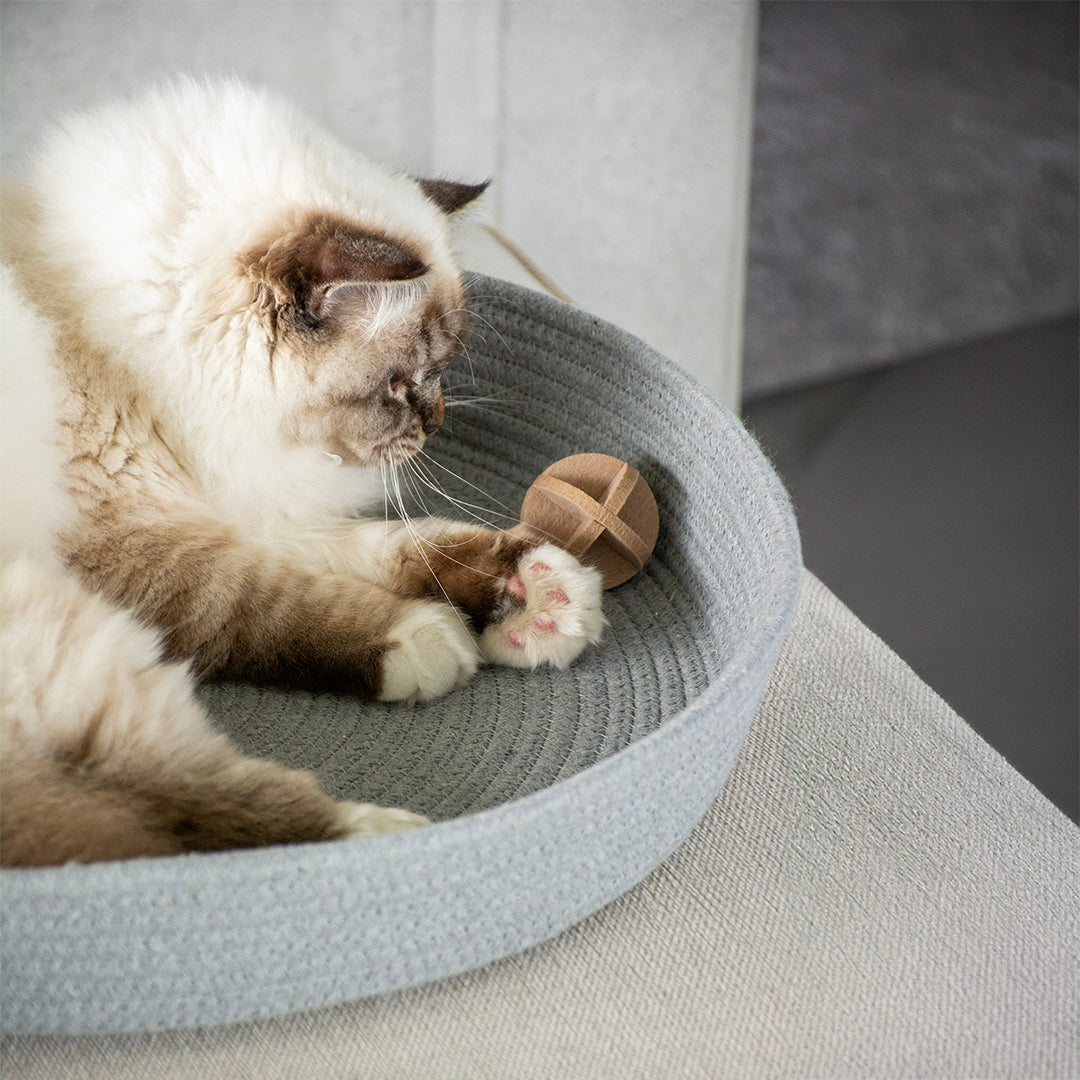 Charlie Vilten Speelballetje