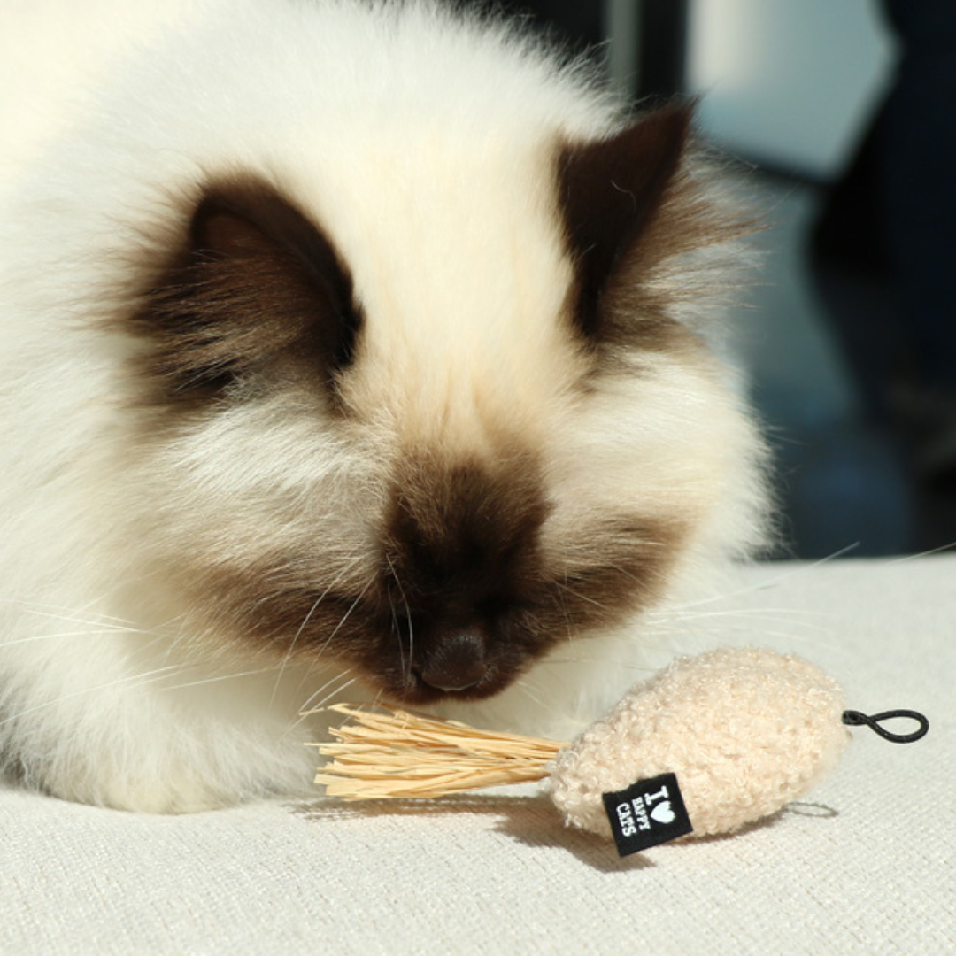 JAVE, JOY, JUNE - Kattenspeeltje met raffia (B2B)