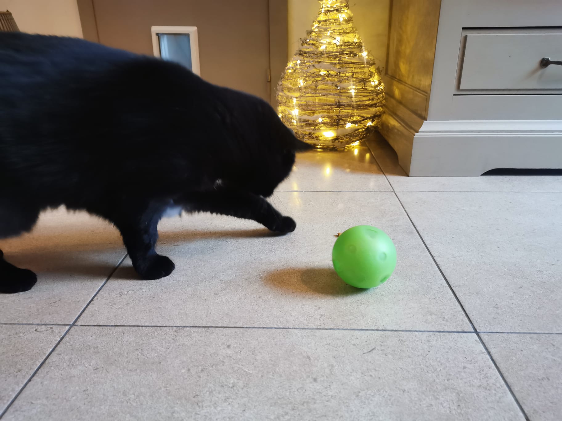 Slimcat antischrok Kattenvoerbal