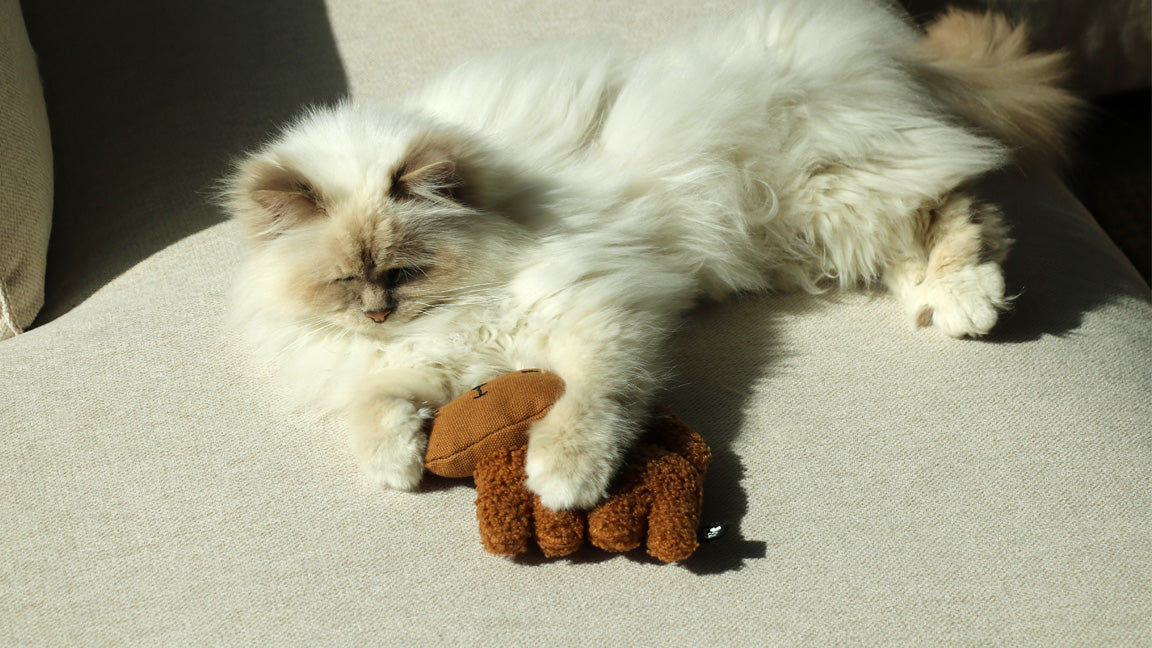 ZOEY Hervulbaar trappelkussen