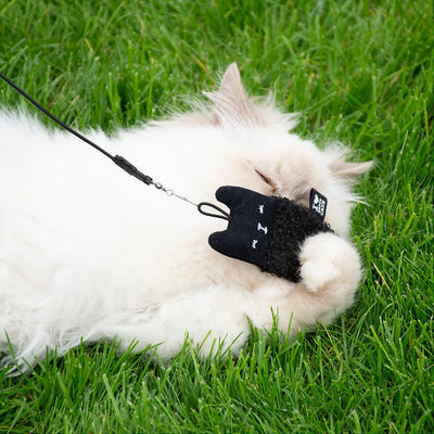 ALFIE Jouets pour chat