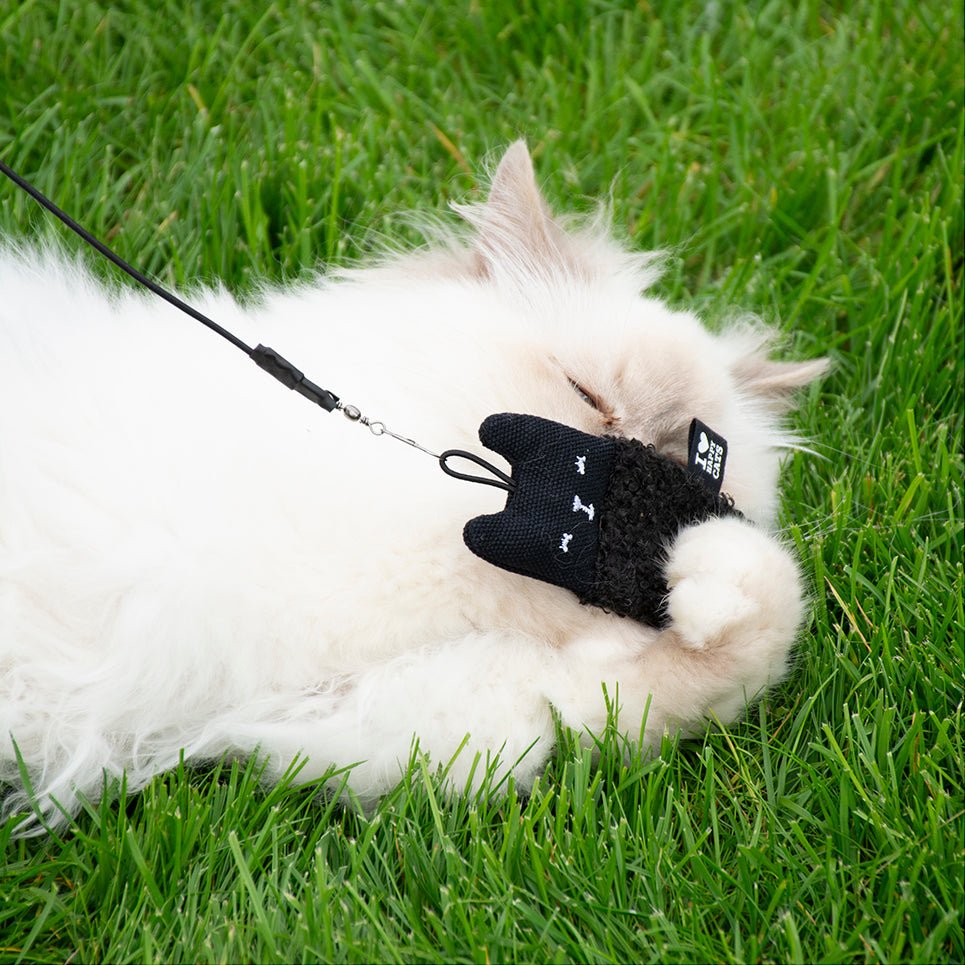 ALFIE Jouets pour chat