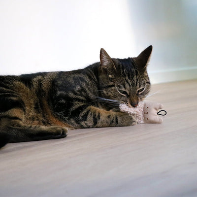 ALFIE Jouets pour chat