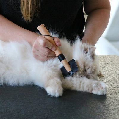 ARTHUR - Brosse slicker