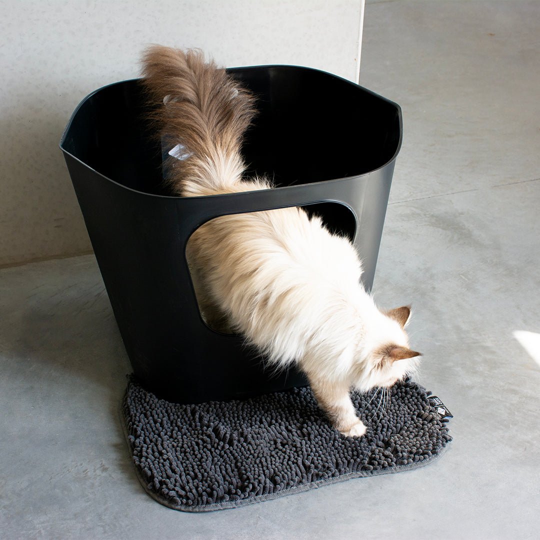 DAISY - Tapis de litière