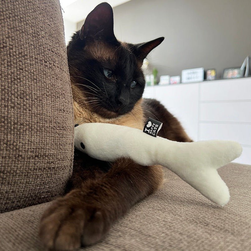 Finn - Coussin à câliner