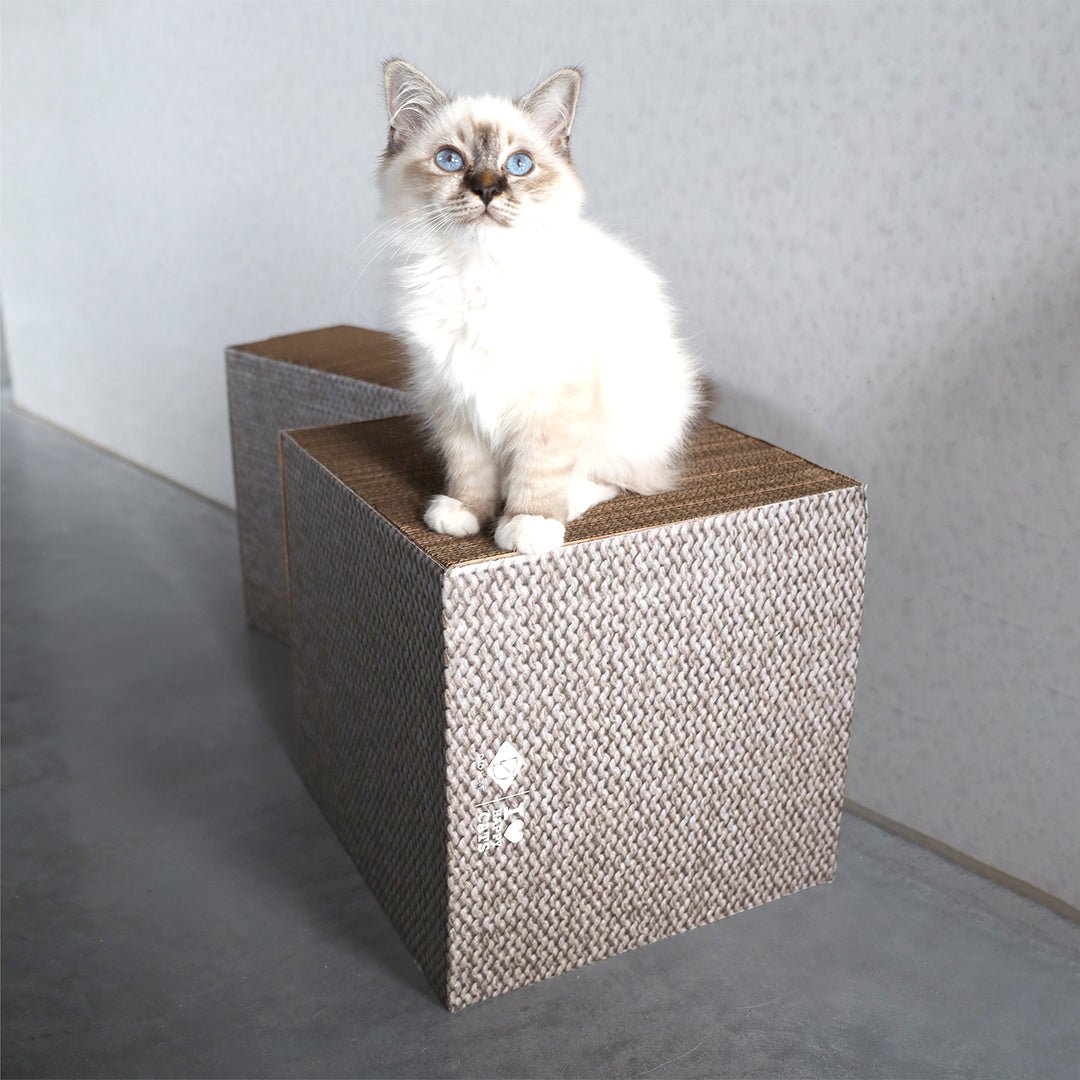 FREYA - Blocs à griffer