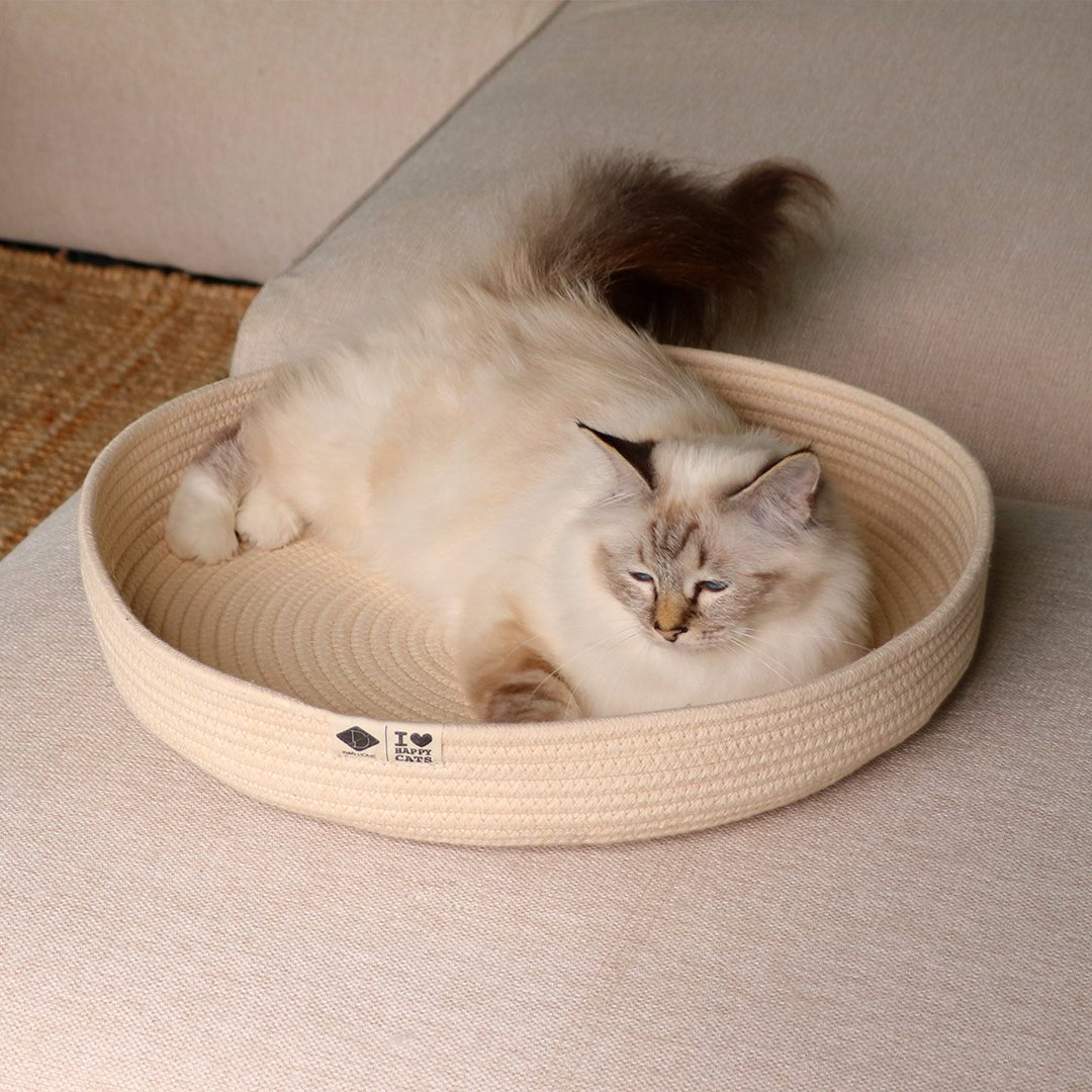 Jess panier pour chat