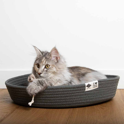 Jess panier pour chat