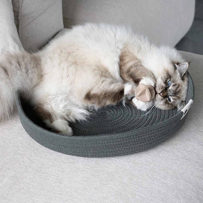 Jess panier pour chat