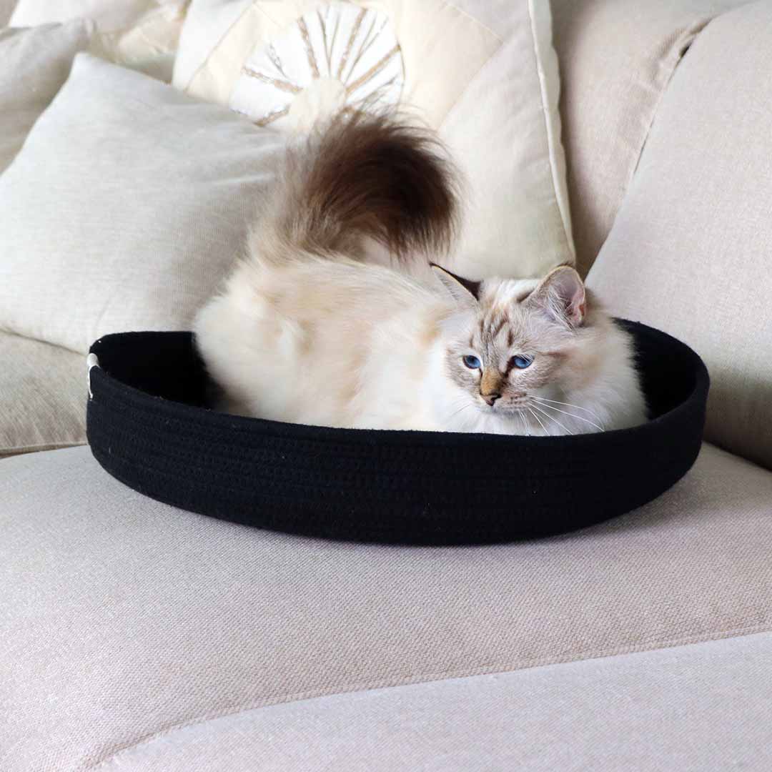 Jess panier pour chat