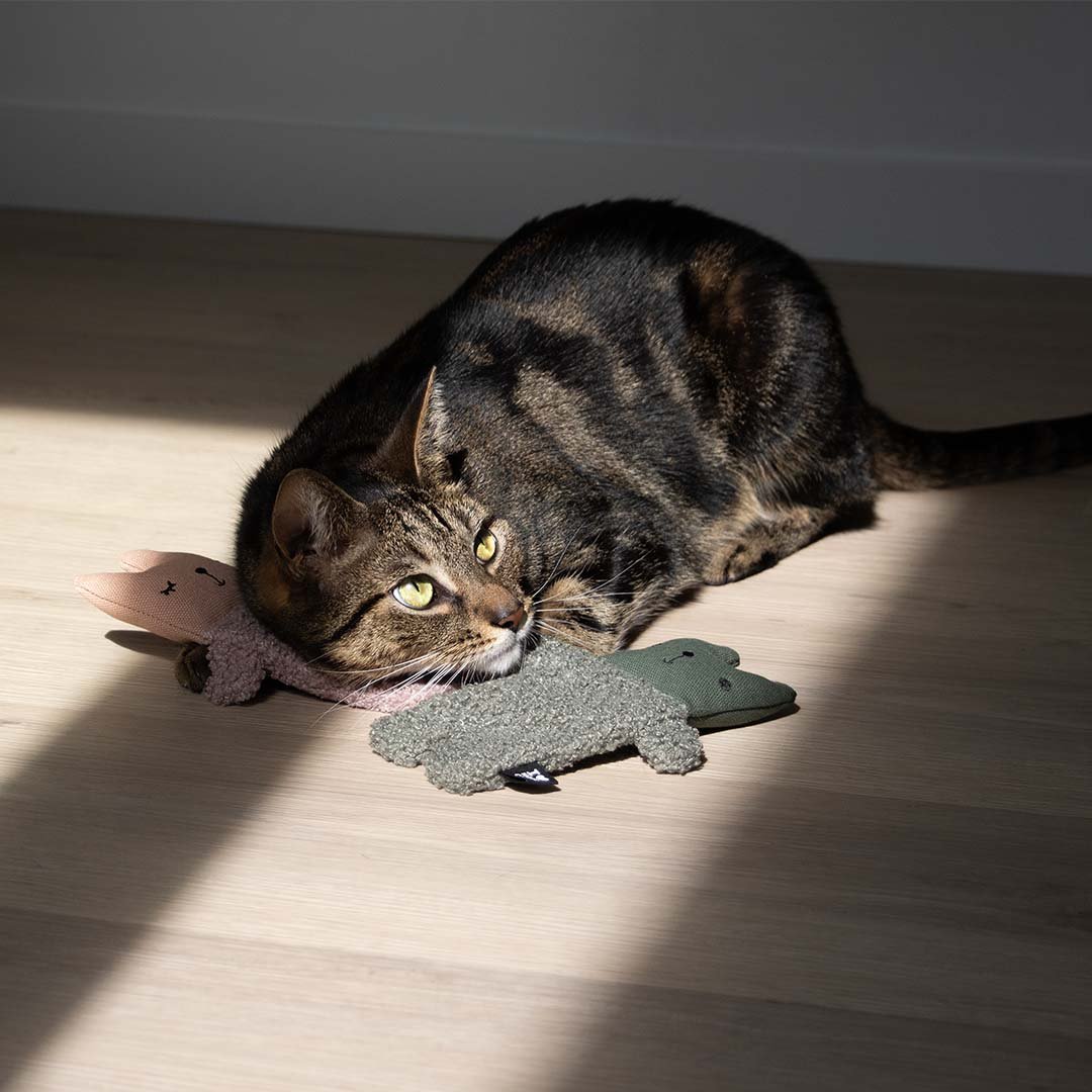 ALFIE XL - Jouet pour chat
