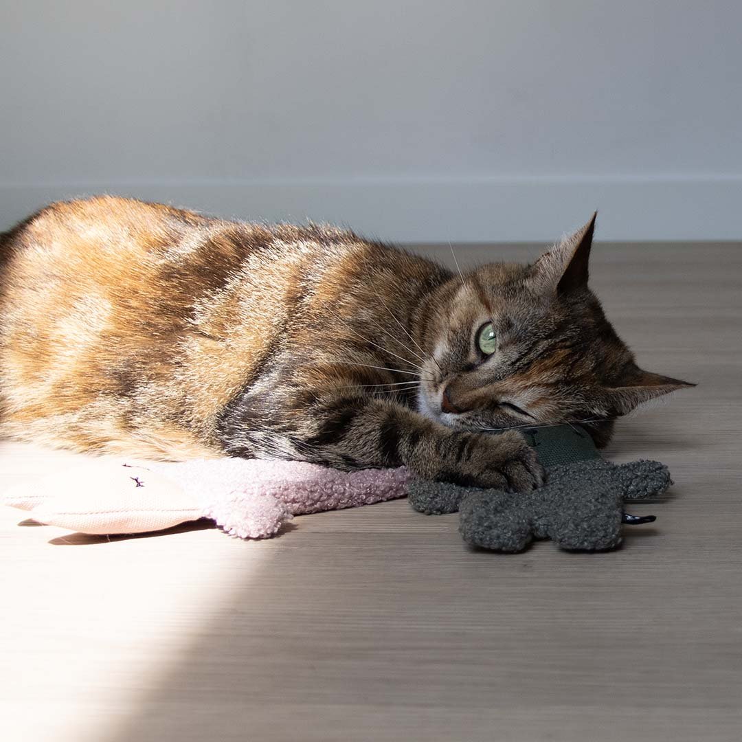 ALFIE XL - Jouet pour chat