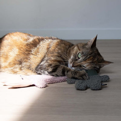 ALFIE XL - Jouet pour chat
