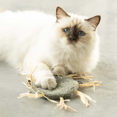 MILLY - Jouet pour chat
