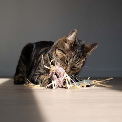 MILLY - Jouet pour chat