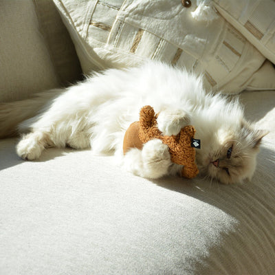 Mélange d'herbes I Love Happy Cats