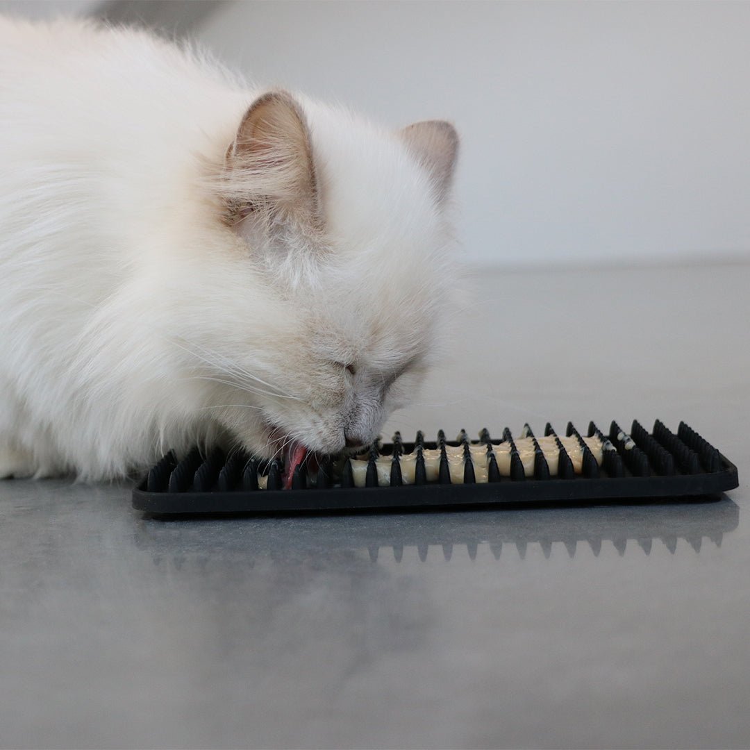 LEX - Tapis à lécher