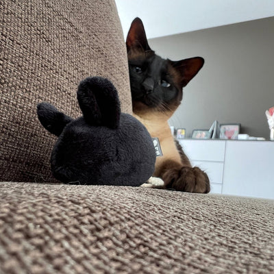 MOOSY - Souris de jeu