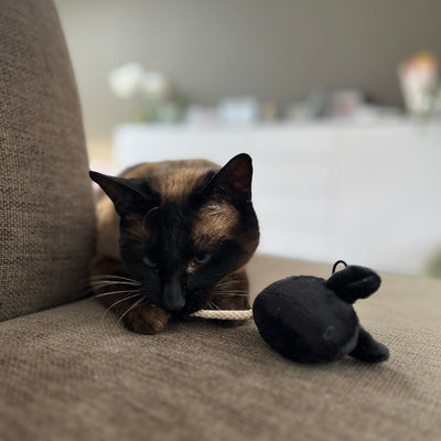 MOOSY - Souris de jeu