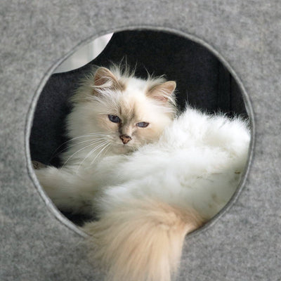NALA - Cube de jeu