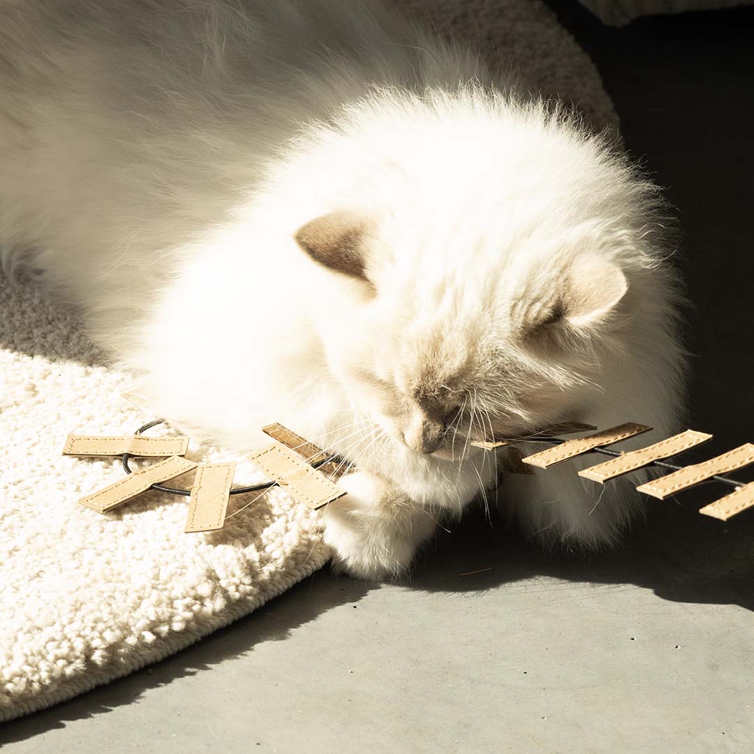 Navulling speelhengel COOPER