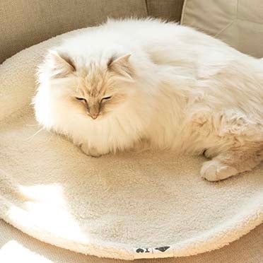 Coussin plaid - MANOU