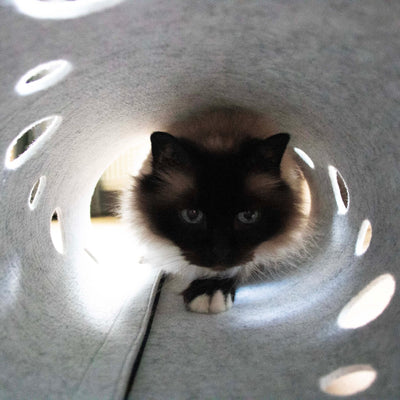Tunnel de jeu LANA