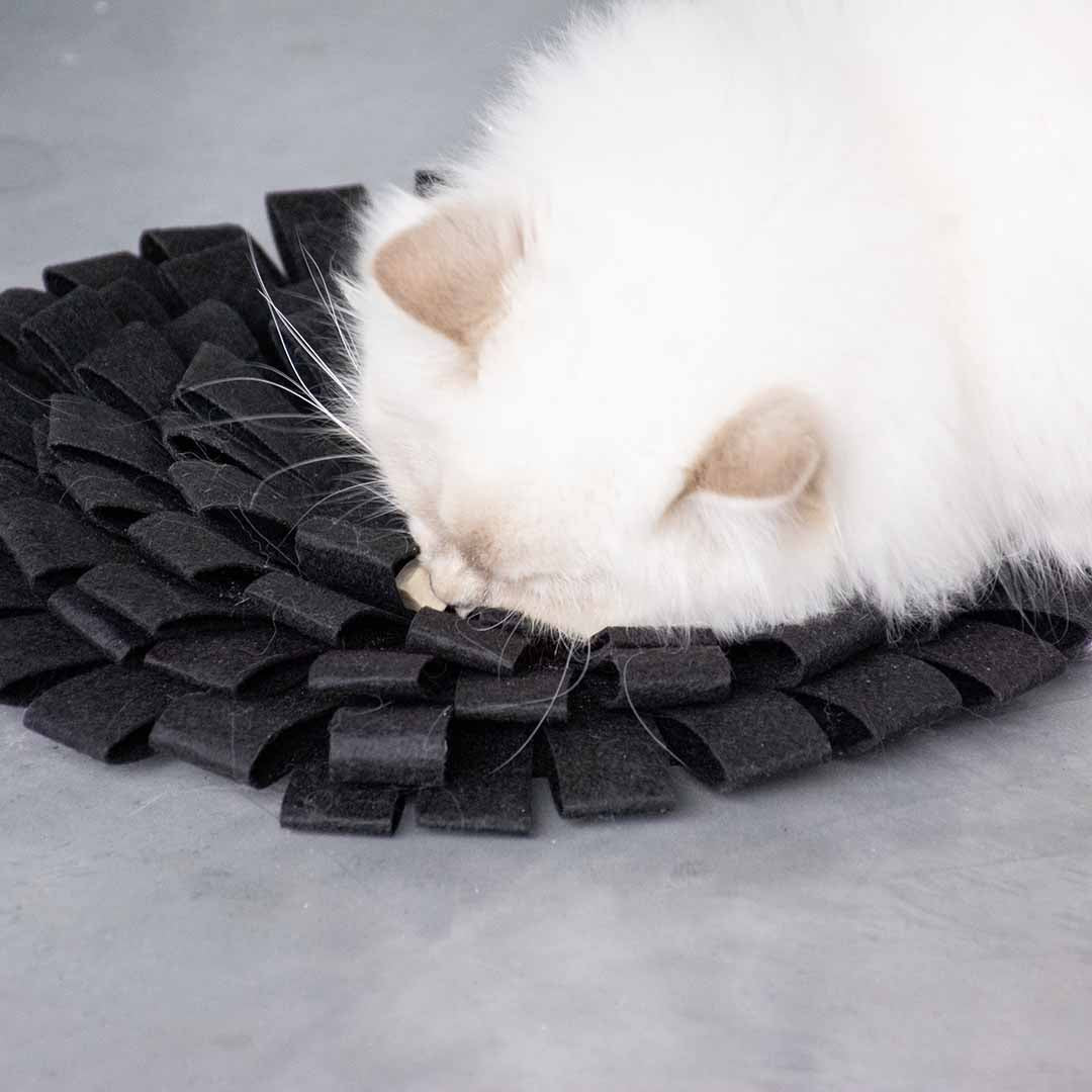 SUZY - Tapis à friandises