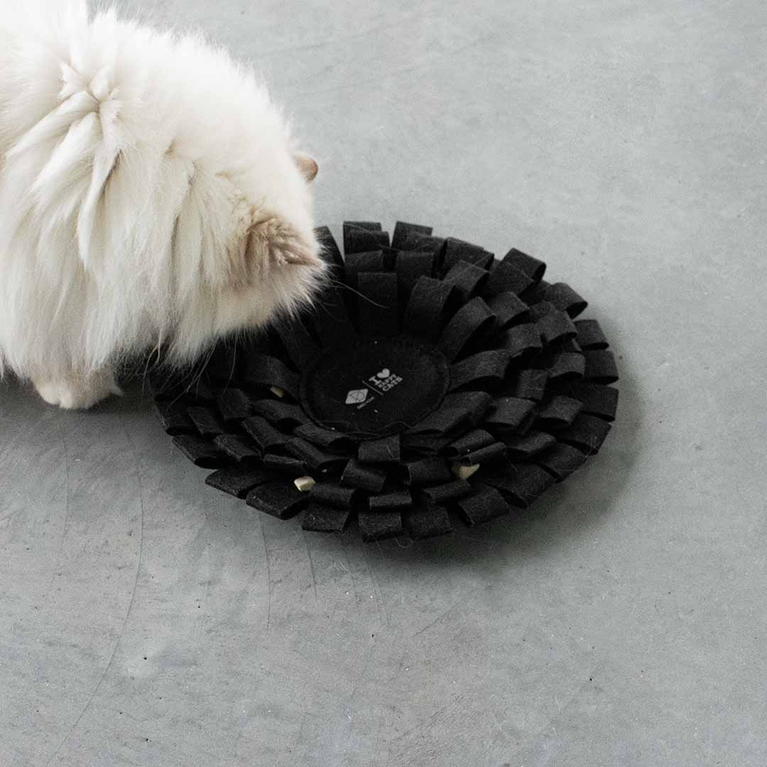 SUZY - Tapis à friandises